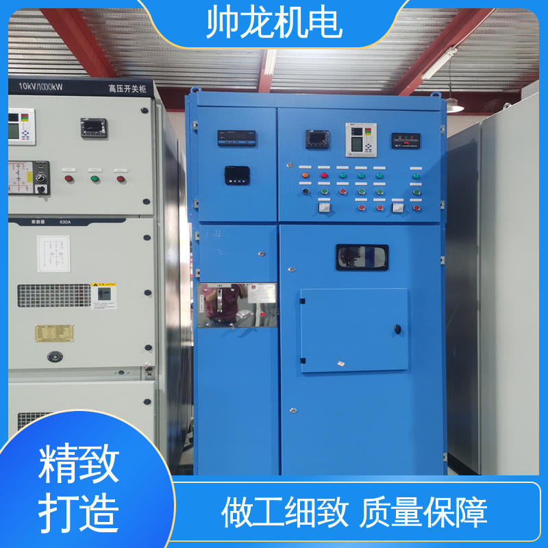 湖 北帅龙机电 10kv高压 应用广泛 资质齐全 可贴牌 售后服务好 出线柜