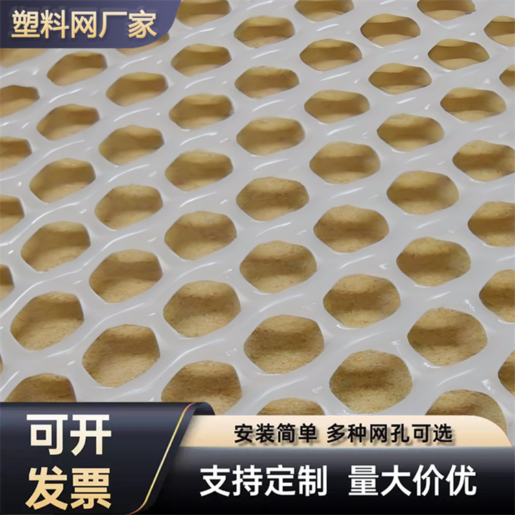 特信 养鸡笼子家用养殖专用网 支持定制尺寸 平网塑料