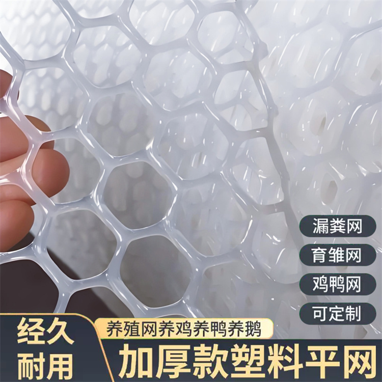 特信 围菜园的塑料网 包工包料 水产养殖网工厂