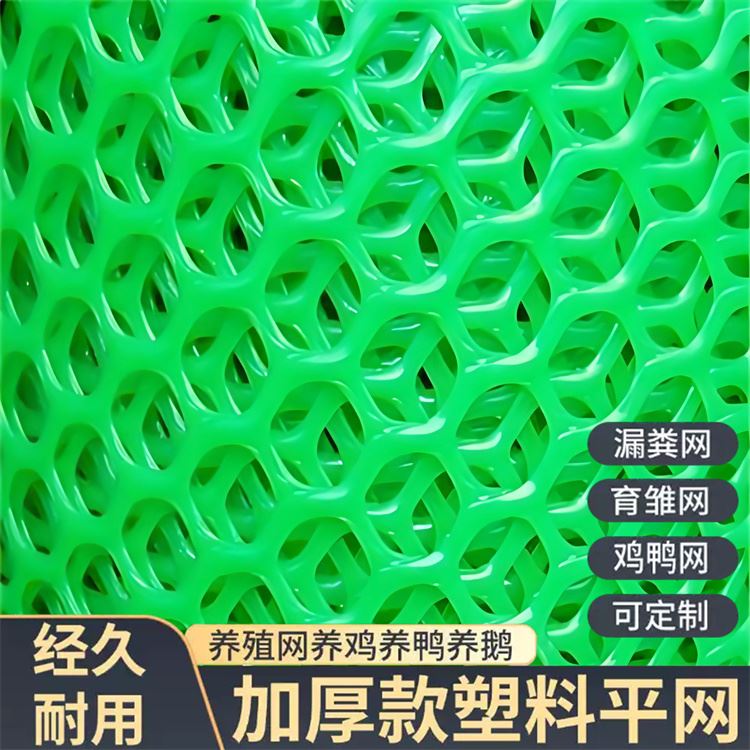 特信 稳固耐用 平台网 养鸡笼子家用养殖专用网