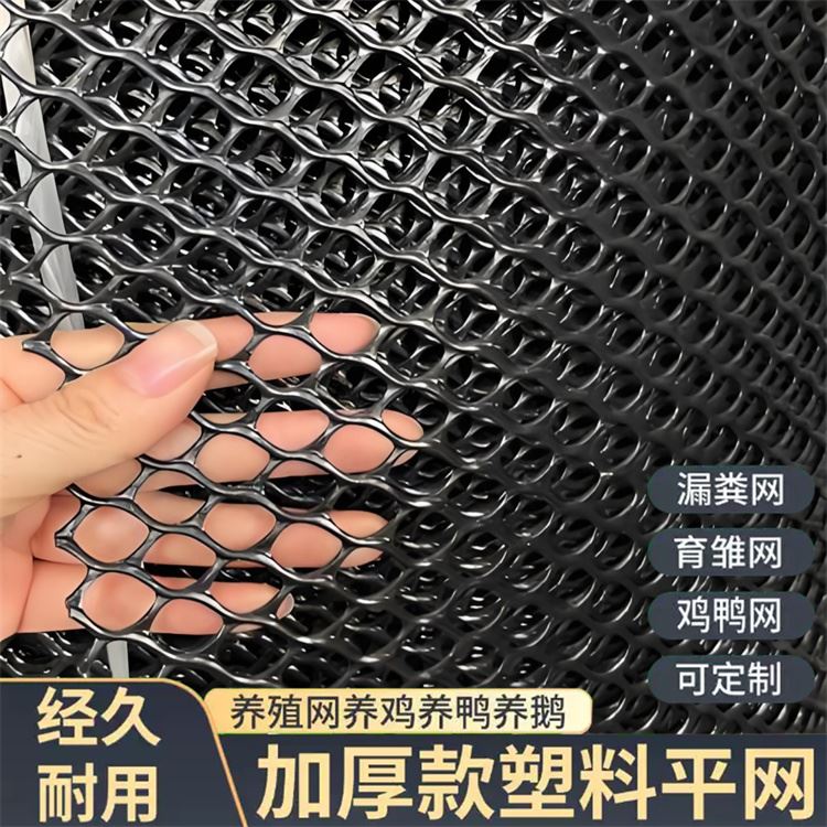 特信 规模生产 养鸡笼子家用养殖专用网 工程塑料网