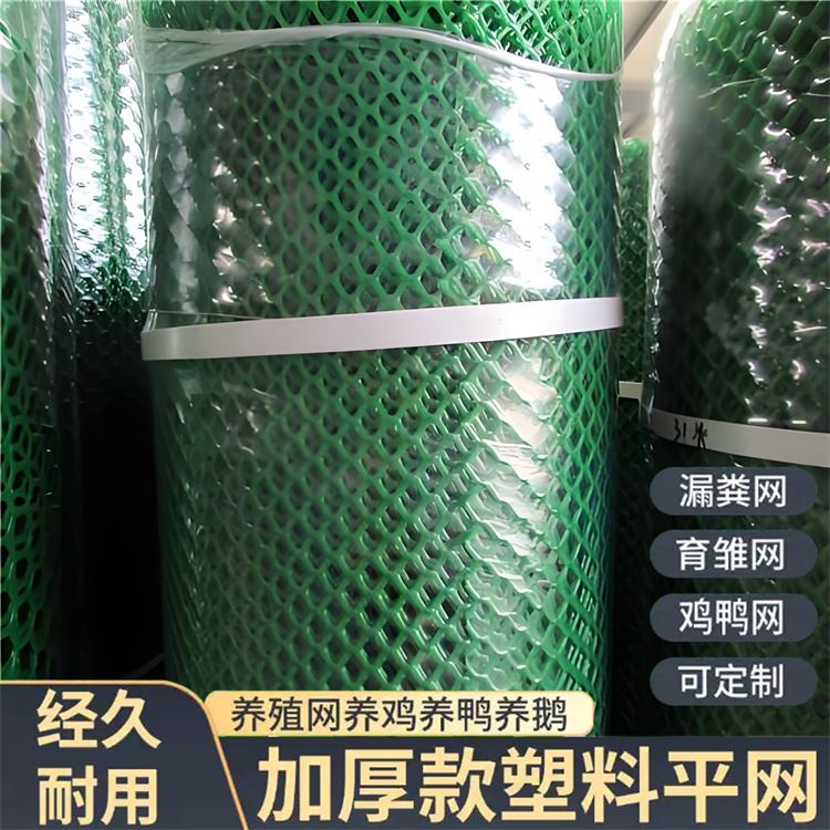 特信 养鸡笼子家用养殖专用网 质量优良 平网塑料