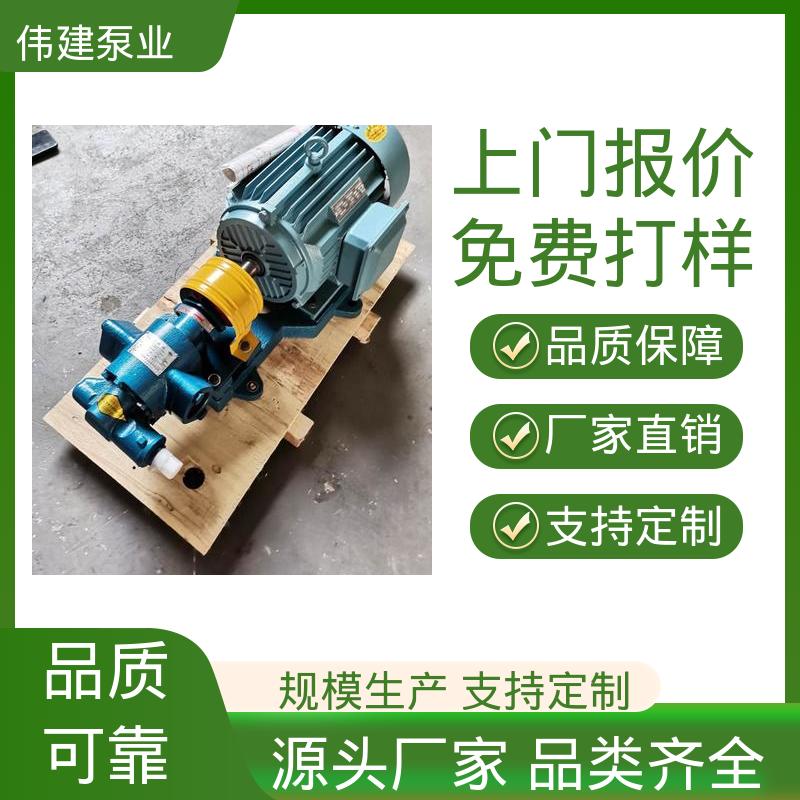 伟建生产 无泄漏效率高 机油柴油液运输用 低噪音 电动齿轮泵