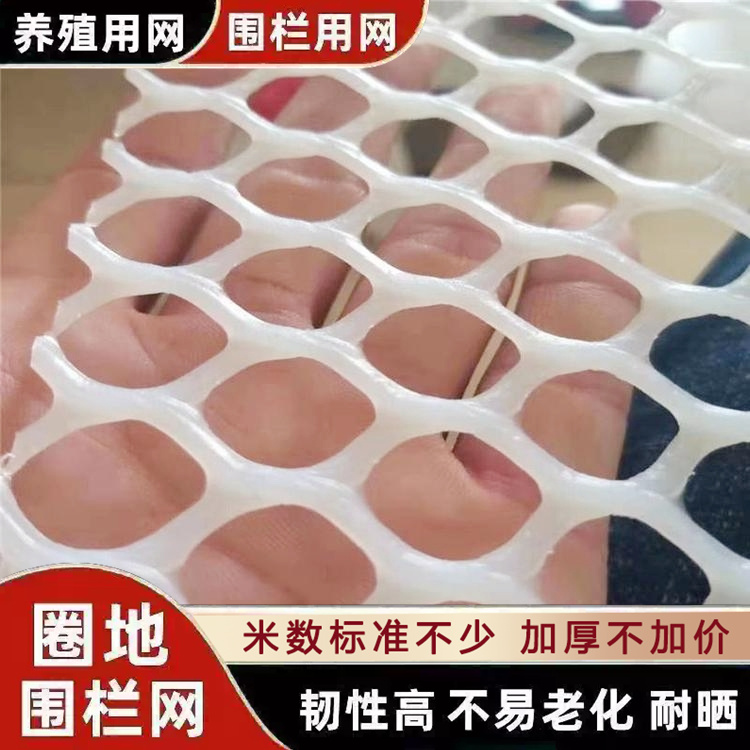 瑞朔 厂家直发 塑料平网 养鸡笼子家用养殖专用网