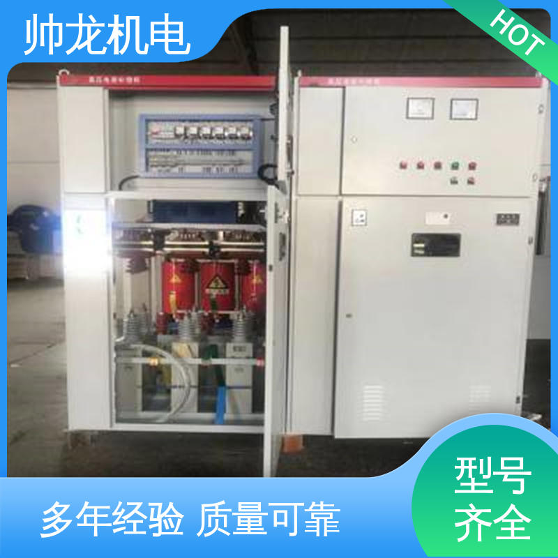 节能降耗 保护电机 无功补偿起 厂家直供 可定制 10kv高压 帅龙