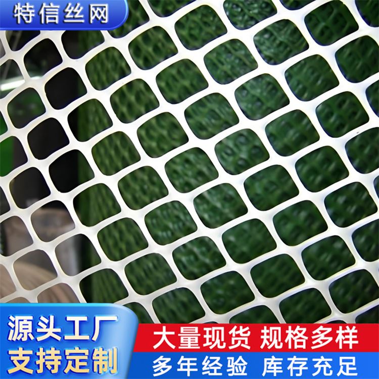 特信 稳固耐用 塑料网片 养鸡笼子家用养殖专用网