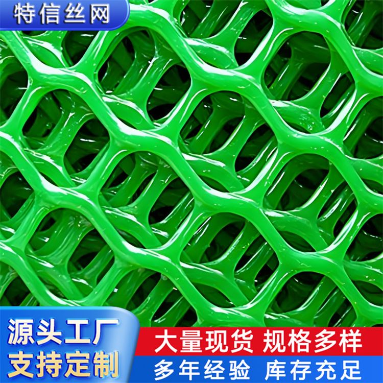 特信 源头厂家 塑料格栅网 养鸡笼子家用养殖专用网