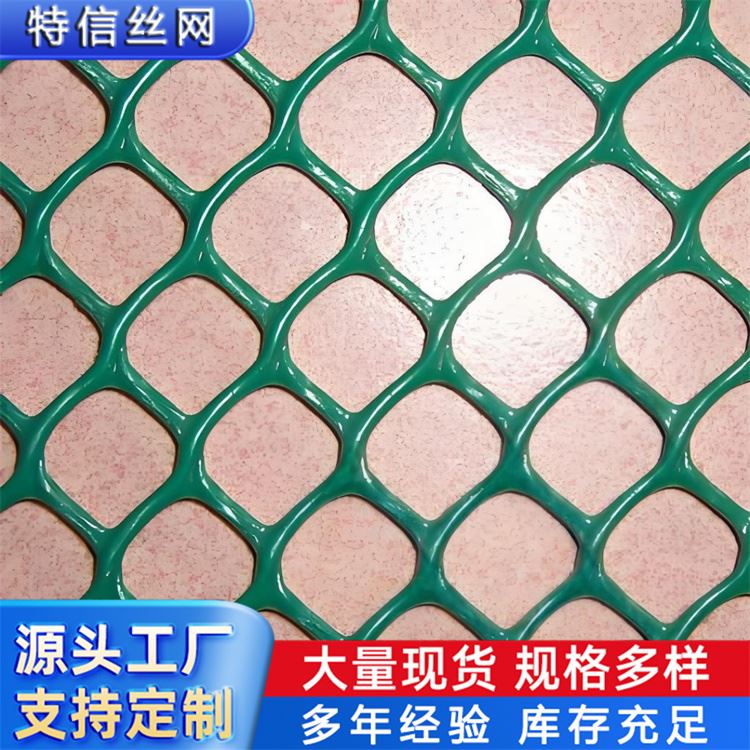 特信 厂家批发 菱形塑料网 养鸡笼子家用养殖专用网