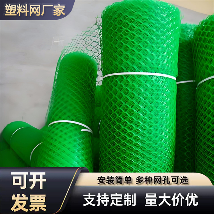 特信 安全可靠 聚乙烯塑料平网 农村养殖场用网
