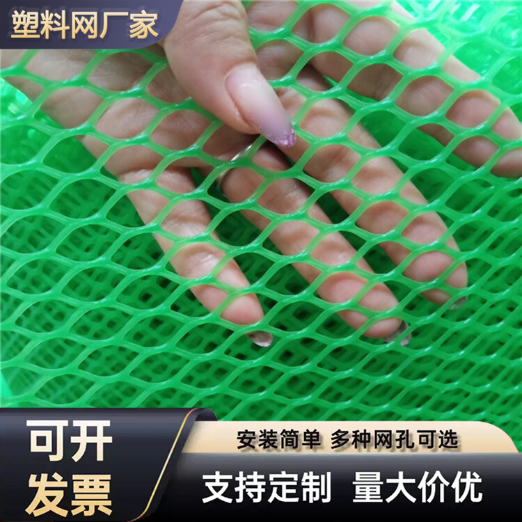 特信 黑塑料网 安心施工 养殖漏粪网白色养鸡脚垫