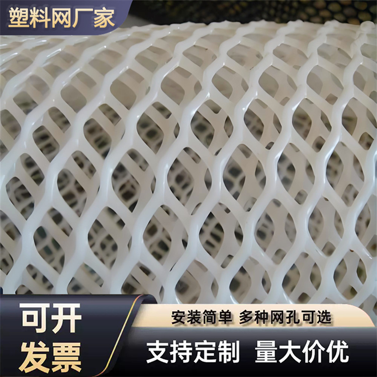 特信 塑胶原料网 工艺成熟 养殖漏粪网白色养鸡脚垫