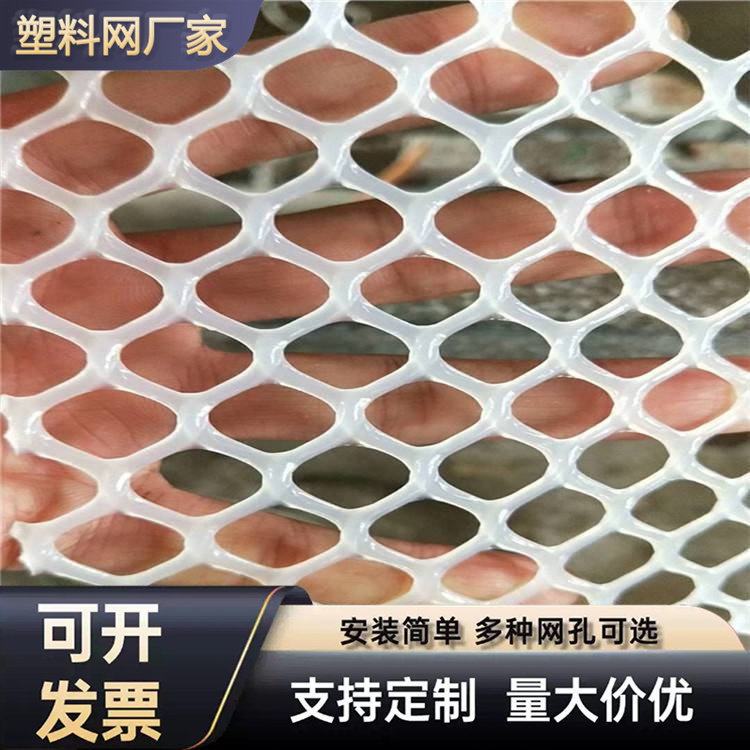 特信 pvc塑料网 质量放心 养鸡笼子家用养殖专用网
