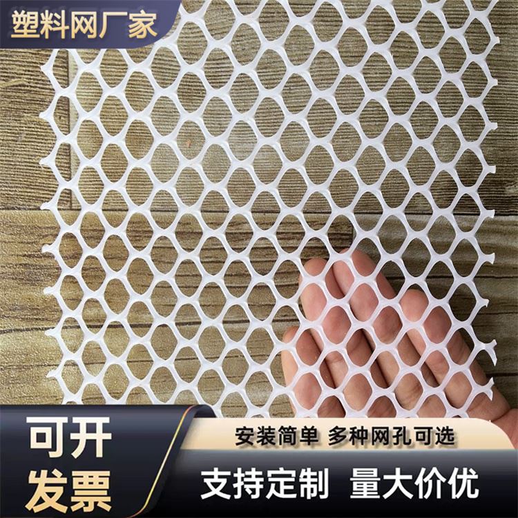 特信 细致打造 养鸡笼子家用养殖专用网 塑料滤网