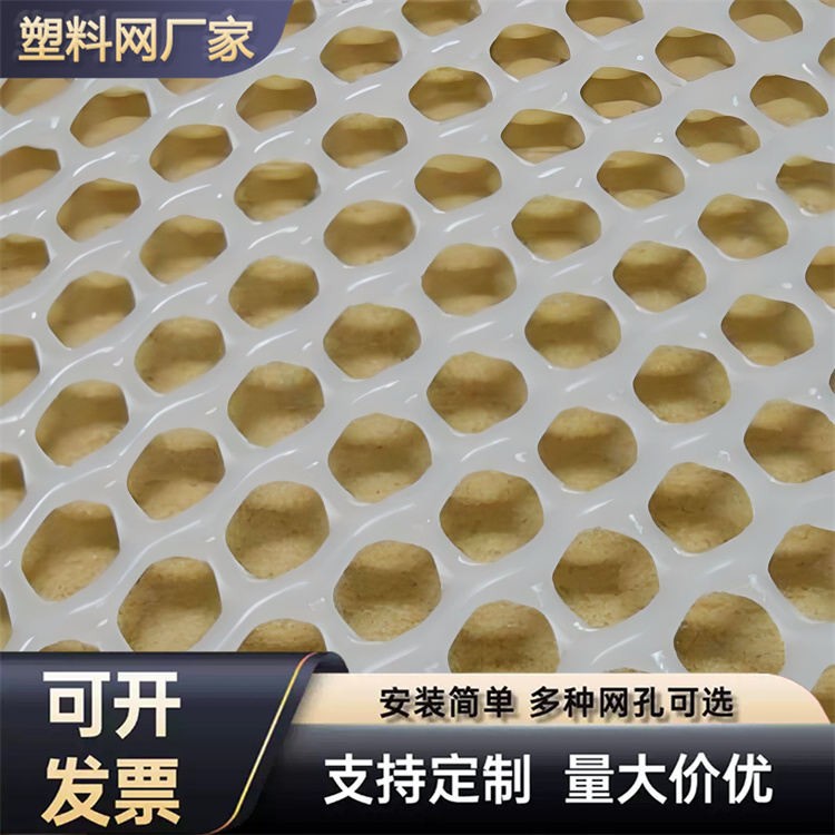 特信 塑料网格网 支持定制尺寸 养鸡笼子家用养殖专用网