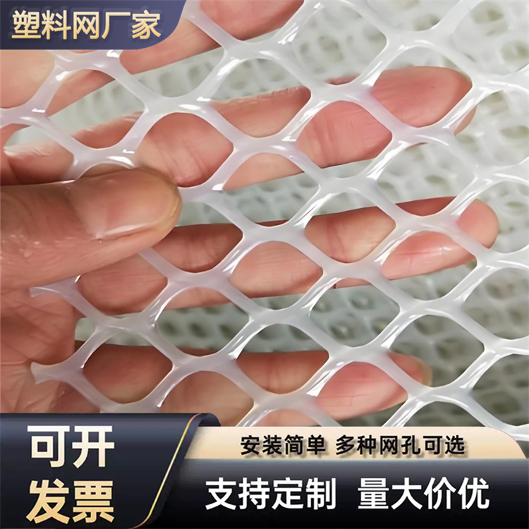 特信 现货速发 塑料制品网 养鸡笼子家用养殖专用网