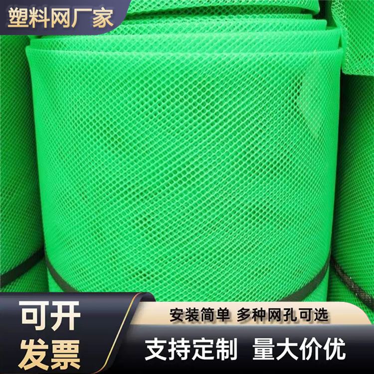 特信 养鸡笼子家用养殖专用网 现货供应 塑料平网厂