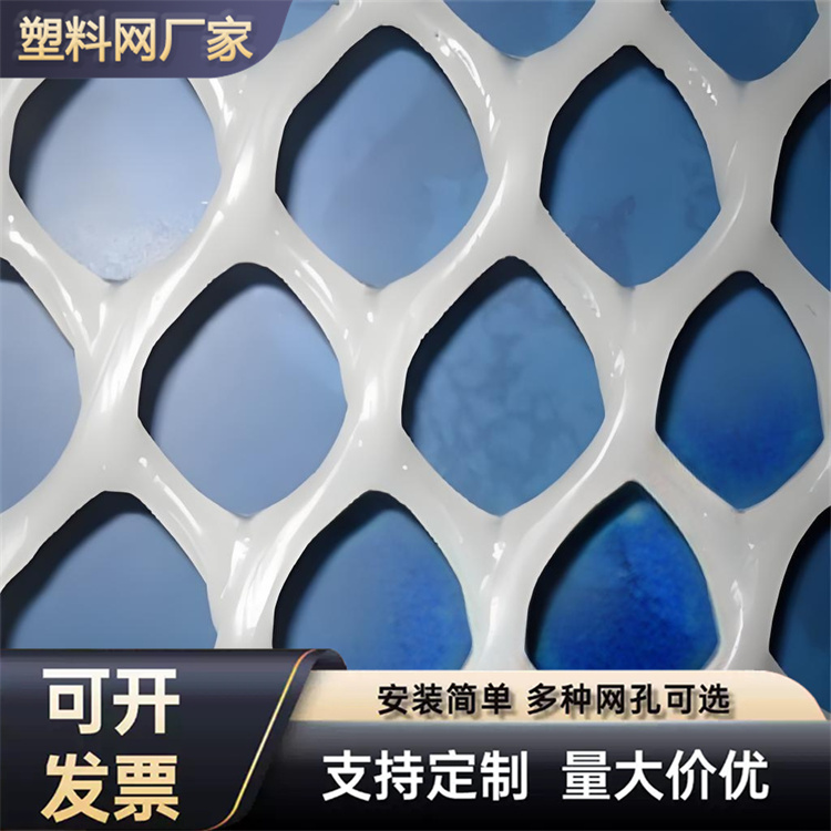 特信 养鸡笼子家用养殖专用网 厂家直供 塑料制品网