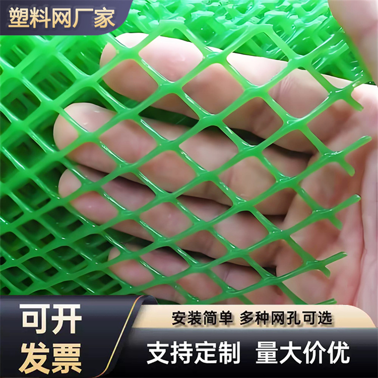 特信 养鸡笼子家用养殖专用网 质量放心 黑塑料网
