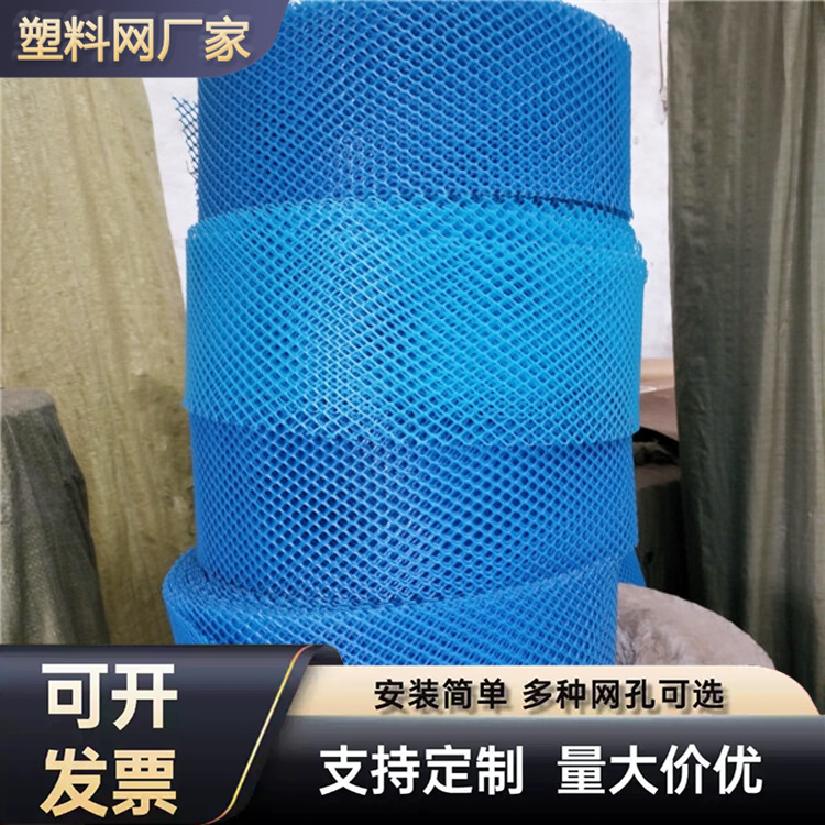 特信 可按需定制 塑料平网厂家 养鸡笼子家用养殖专用网