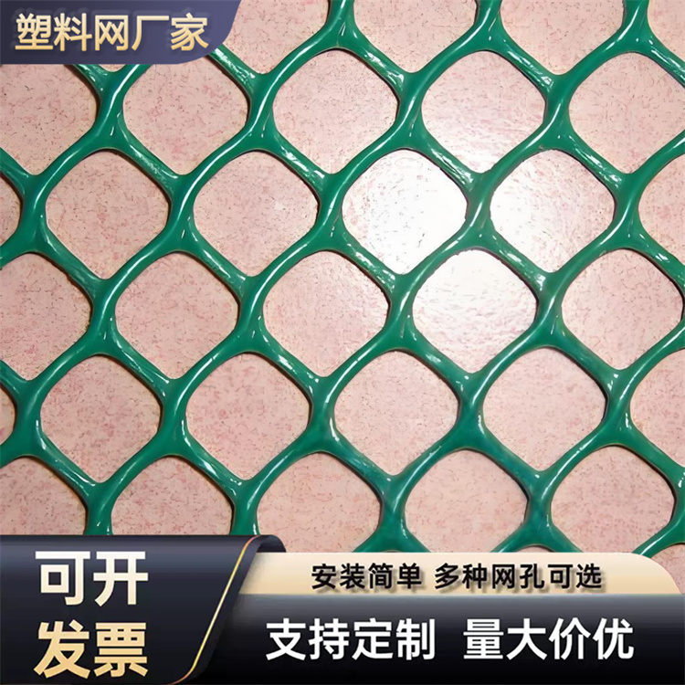 特信 质量优良 菱形塑料网 养鸡笼子家用养殖专用网