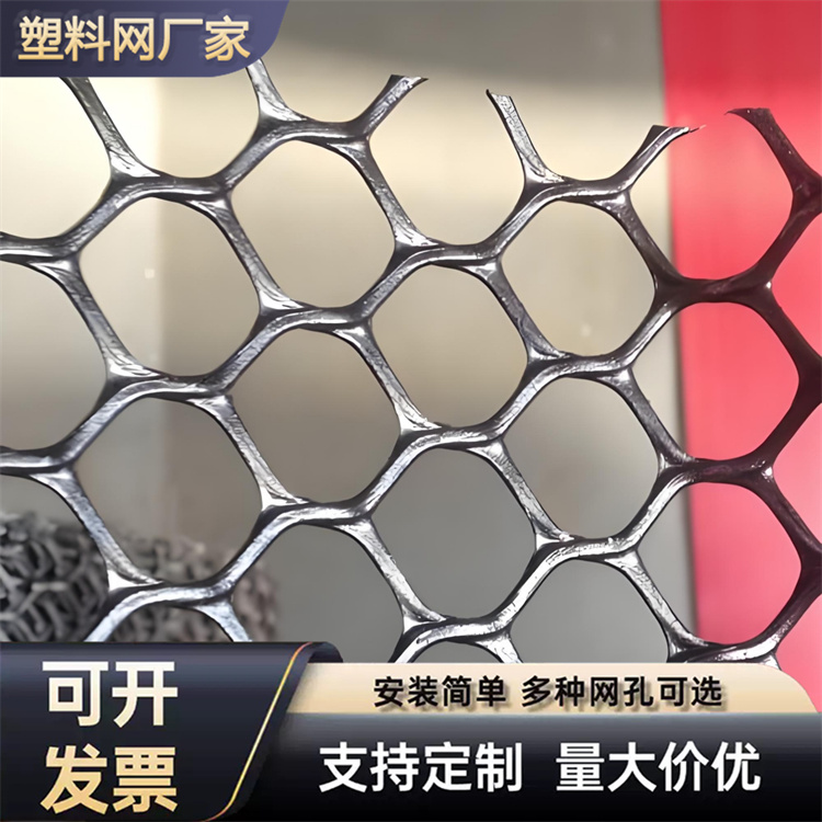 特信 养鸡笼子家用养殖专用网 厂家直供 塑胶工业网