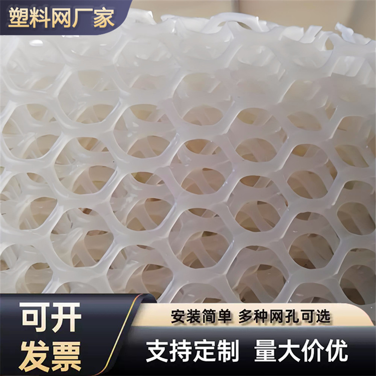 特信 厂家批发 聚乙烯塑胶网 养鸡笼子家用养殖专用网