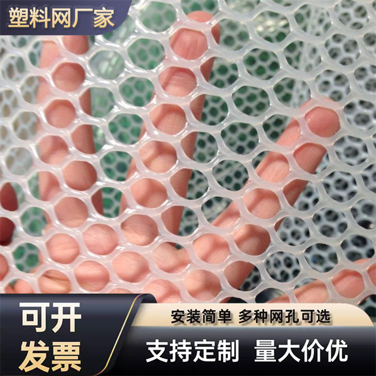 特信 工程塑料网 材质优良 养鸡笼子家用养殖专用网