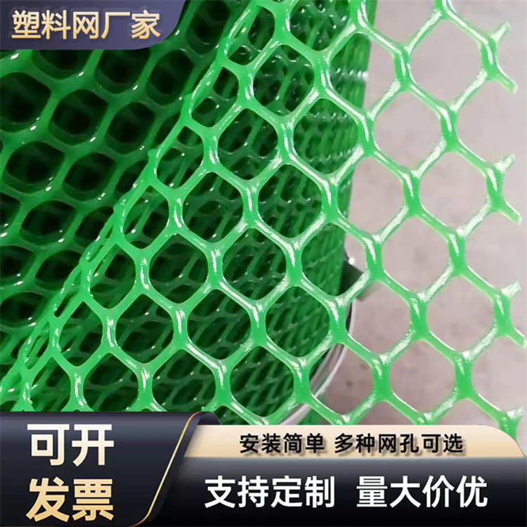 特信 塑料网格网 质量优选 养鸡笼子家用养殖专用网