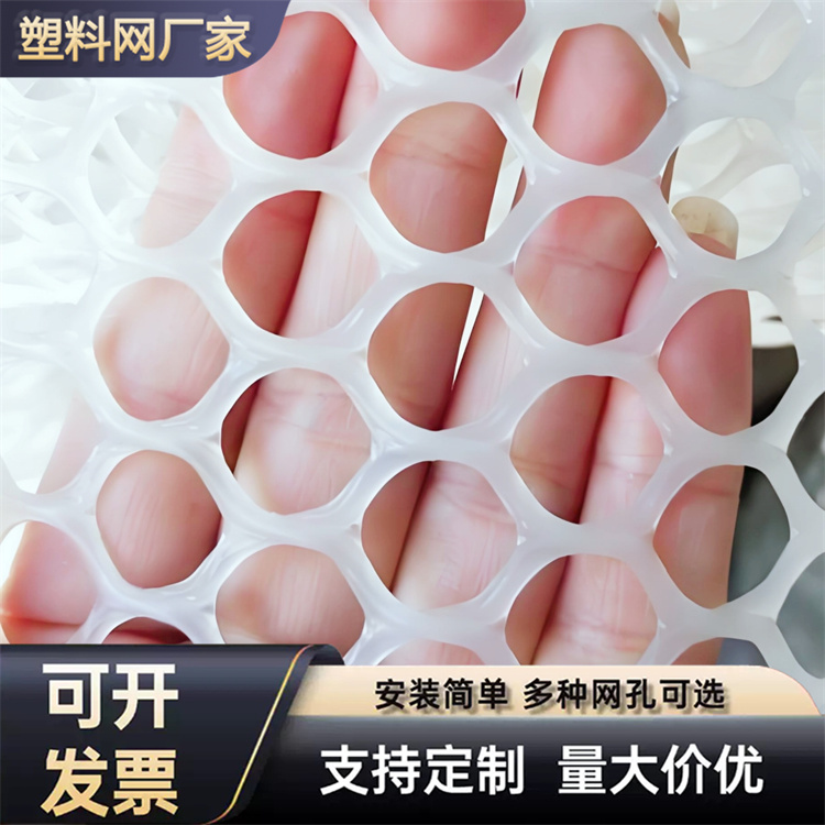 特信 养鸡笼子家用养殖专用网 材质优良 小孔塑料平网