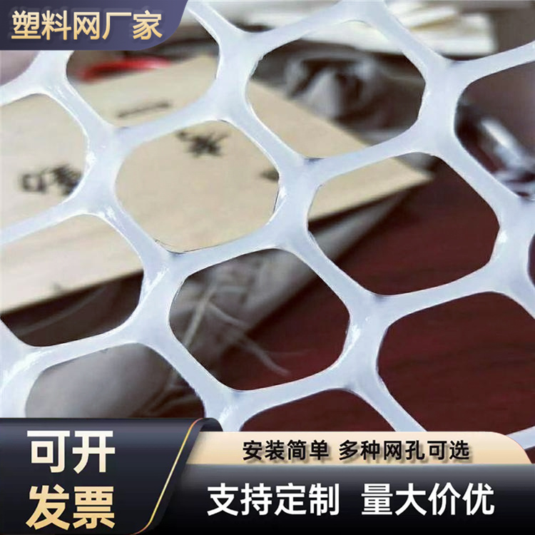 特信 按时发货 平台网 养鸡笼子家用养殖专用网