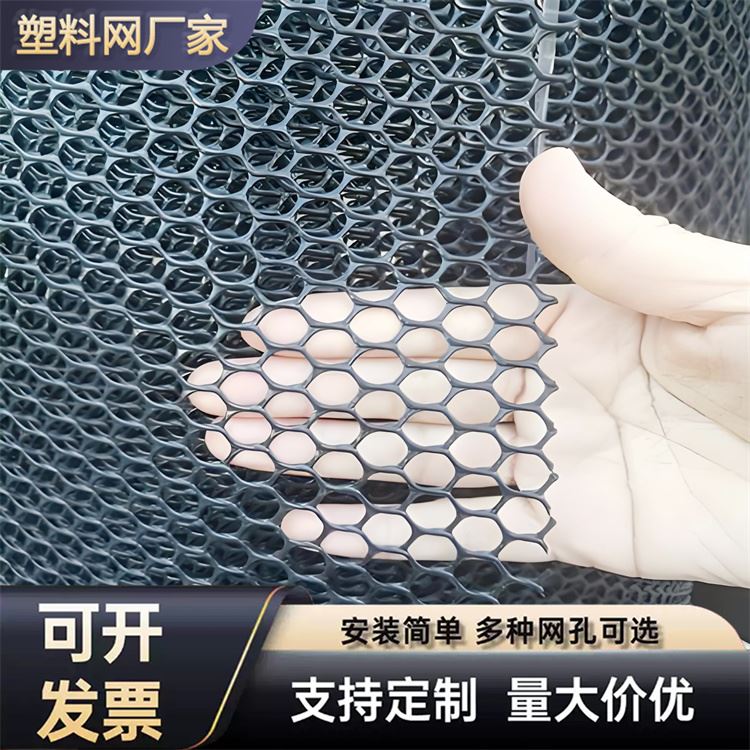 特信 养鸡笼子家用养殖专用网 厂家直发 塑料滤网
