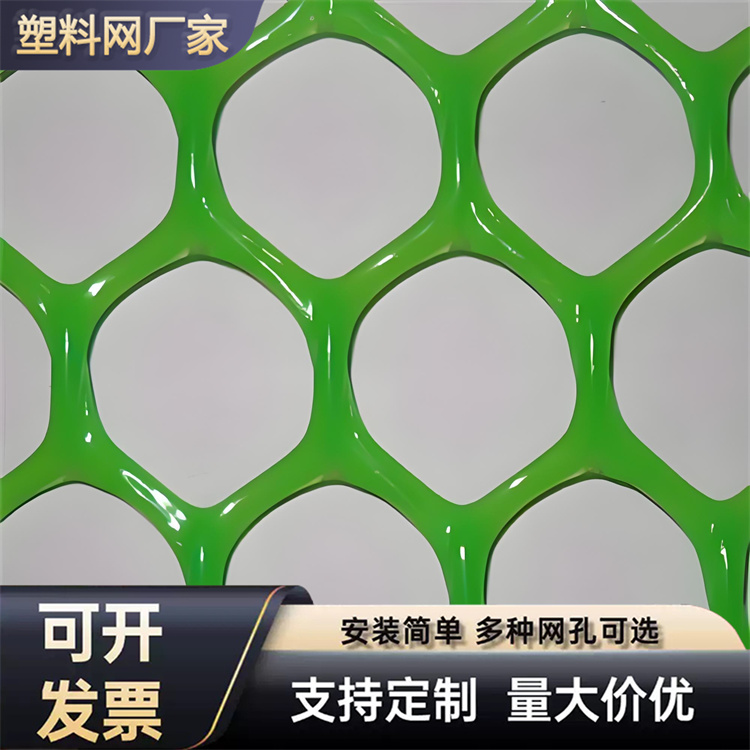 特信 货源充足 塑料平网生产厂家 农村养殖场用网