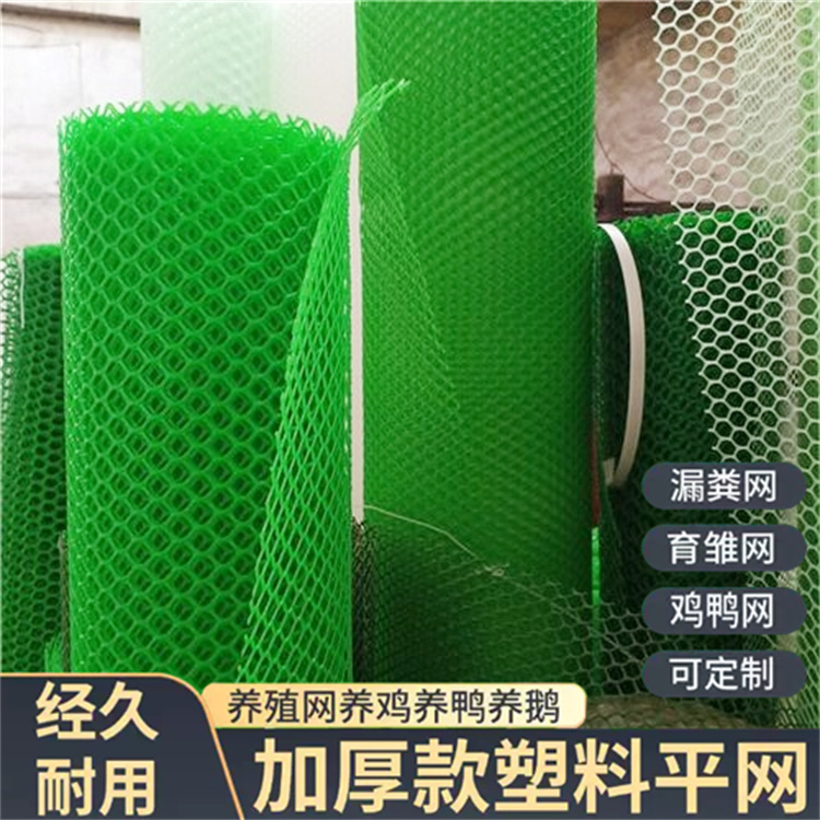 特信 材质优良 塑胶原料网 养鸡笼子家用养殖专用网