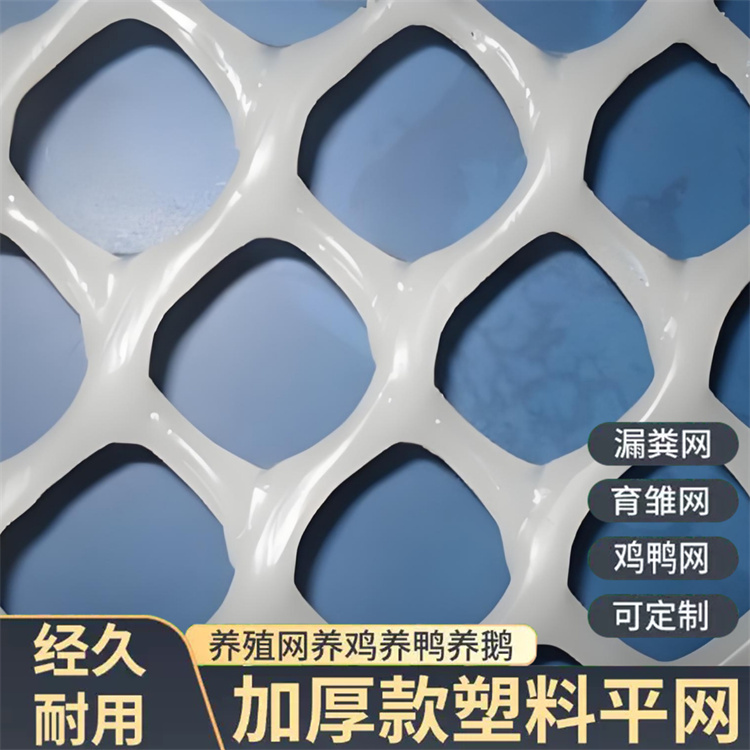 特信 塑料过滤网 规模生产 养鸡笼子家用养殖专用网