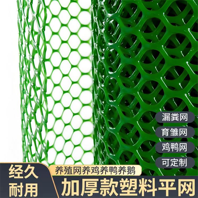 特信 养鸡笼子家用养殖专用网 源头厂家 塑料制品网