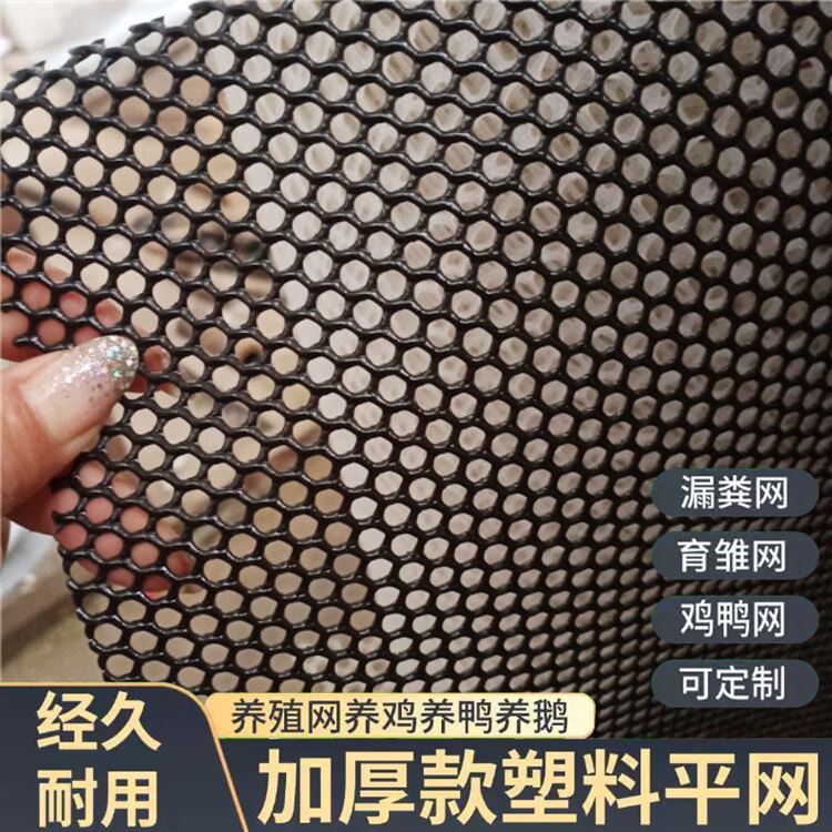 特信 质量可靠 平网塑料 养鸡笼子家用养殖专用网