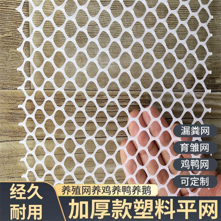 特信 可订购 塑料防护网 养鸡笼子家用养殖专用网