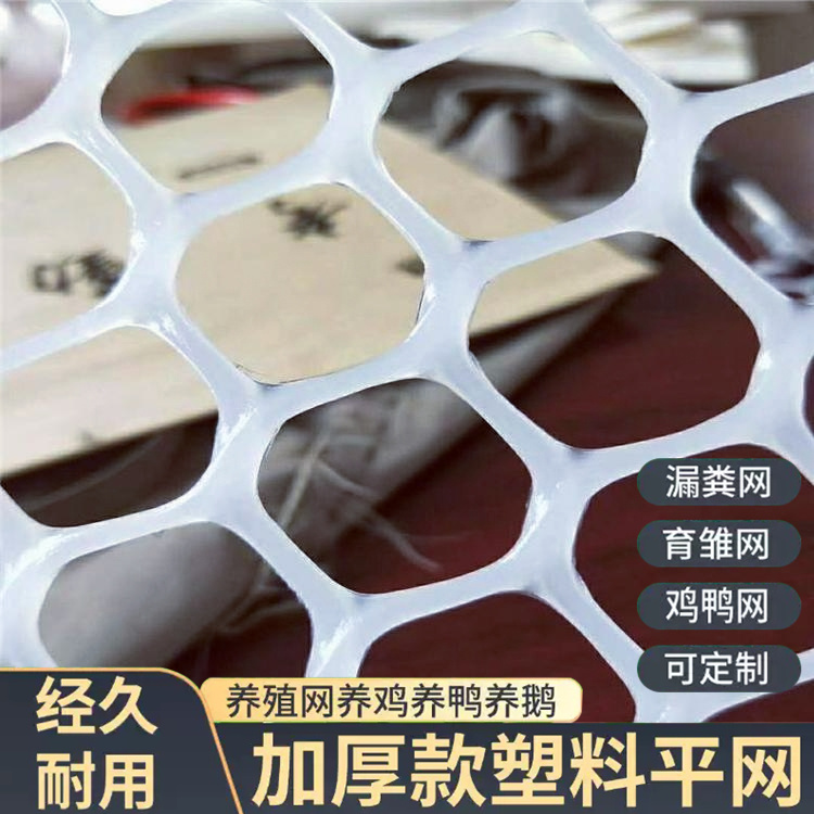 特信 质量优良 平台网 养鸡笼子家用养殖专用网