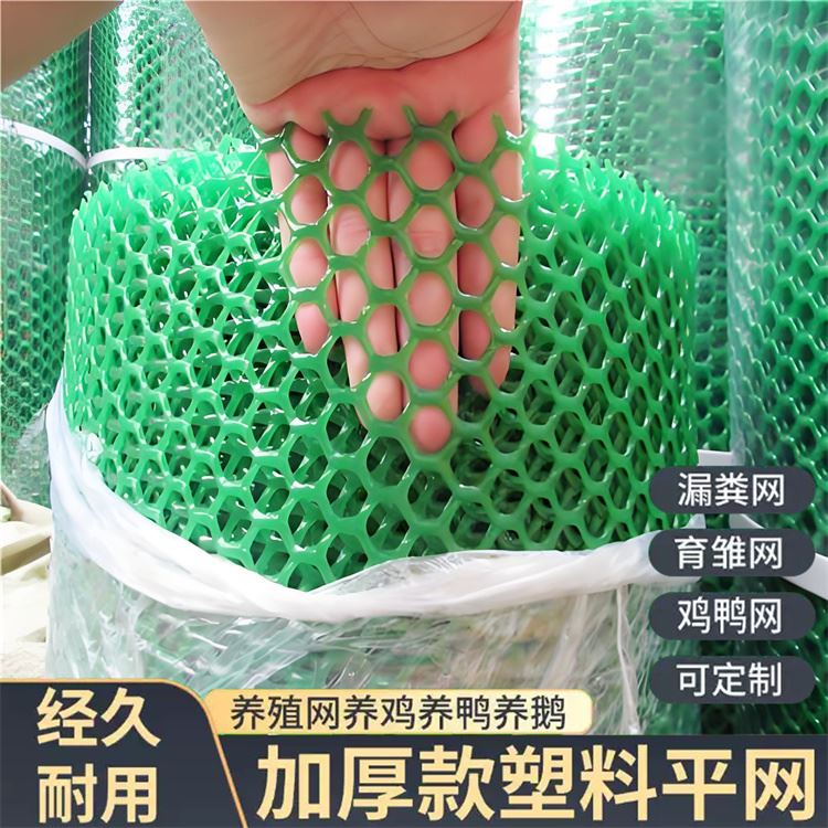 特信 养鸡笼子家用养殖专用网 细致打造 围菜园的塑料网