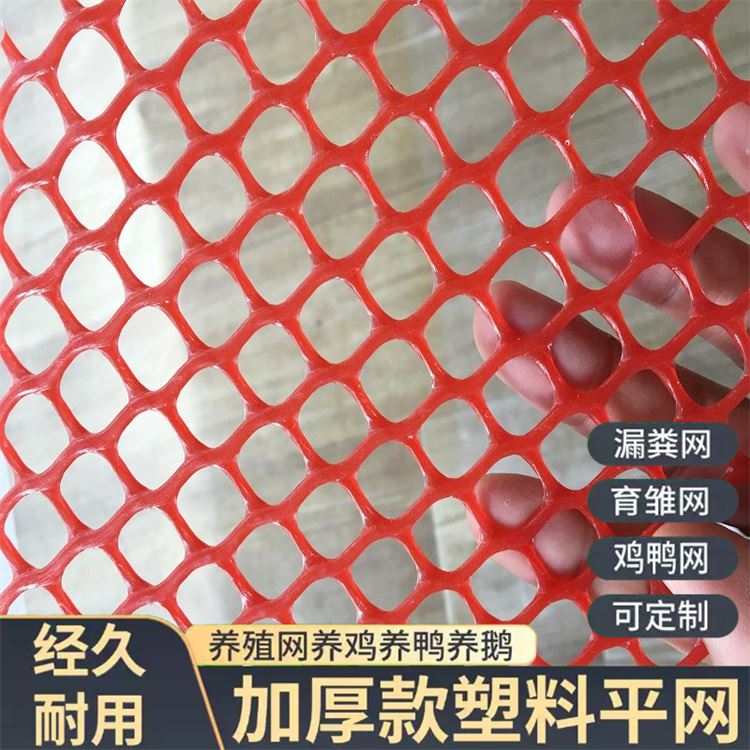 特信 养鸡笼子家用养殖专用网 细致打造 平台网
