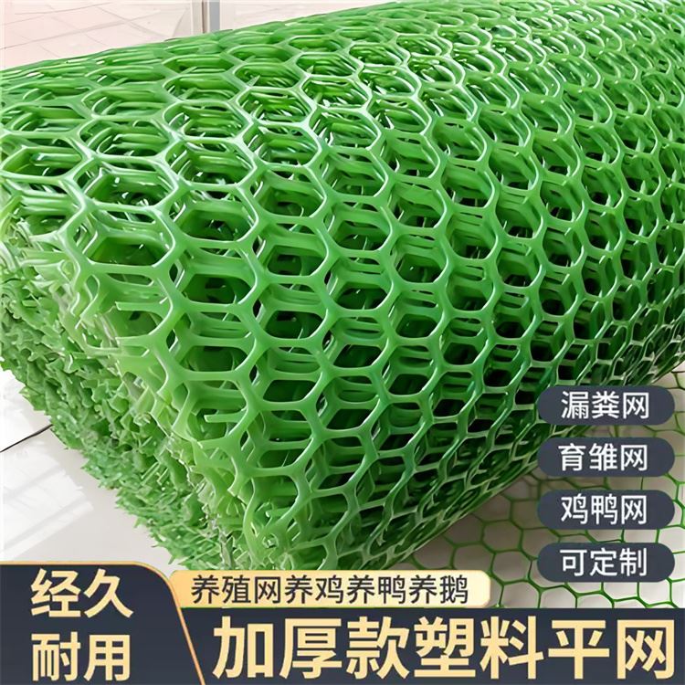 特信 塑料网格网 可承接工程 养鸡笼子家用养殖专用网