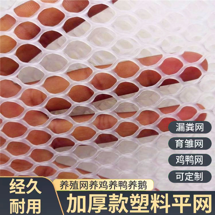 特信 养鸡笼子家用养殖专用网 厂家批发 白色大棚育苗网
