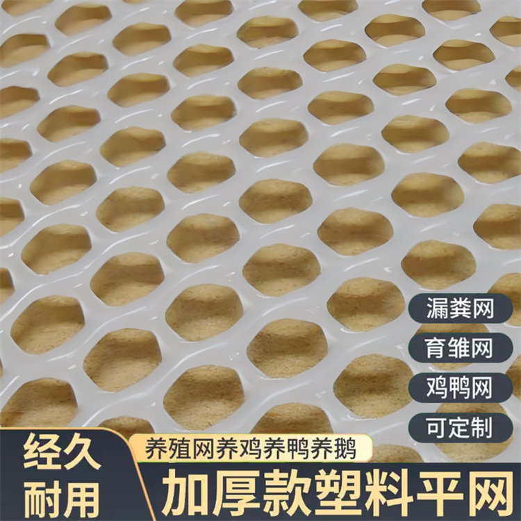 特信 可承接工程 塑料网子围栏 大棚水产养殖网