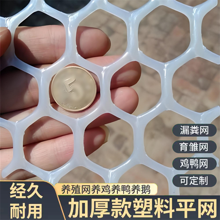特信 养鸡笼子家用养殖专用网 稳固耐用 塑料网生产厂家
