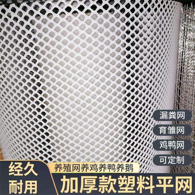 特信 现货充足 塑料平网厂家 养鸡笼子家用养殖专用网