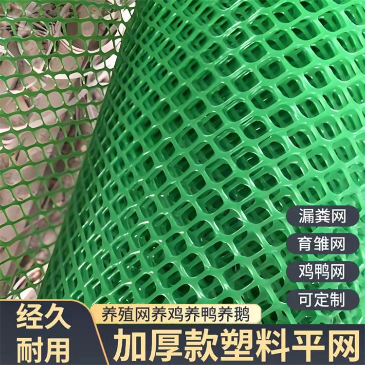特信 围菜园的塑料网 现货速发 鸡鸭垫底漏粪网