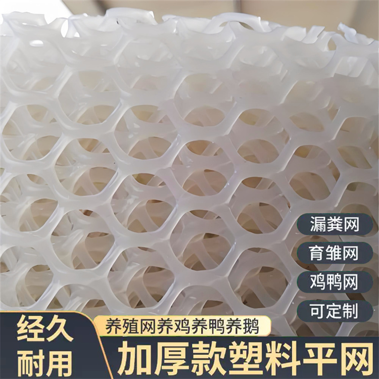 特信 塑胶原料网 做工细致 养殖漏粪网白色养鸡脚垫