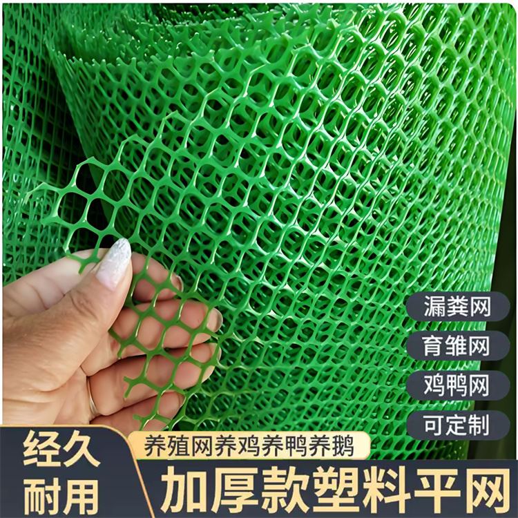 特信 平台网 结实耐用 养鸡笼子家用养殖专用网