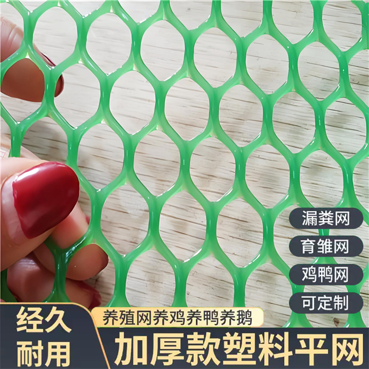 特信 稳固耐用 养殖漏粪网白色养鸡脚垫 苗床网厂家