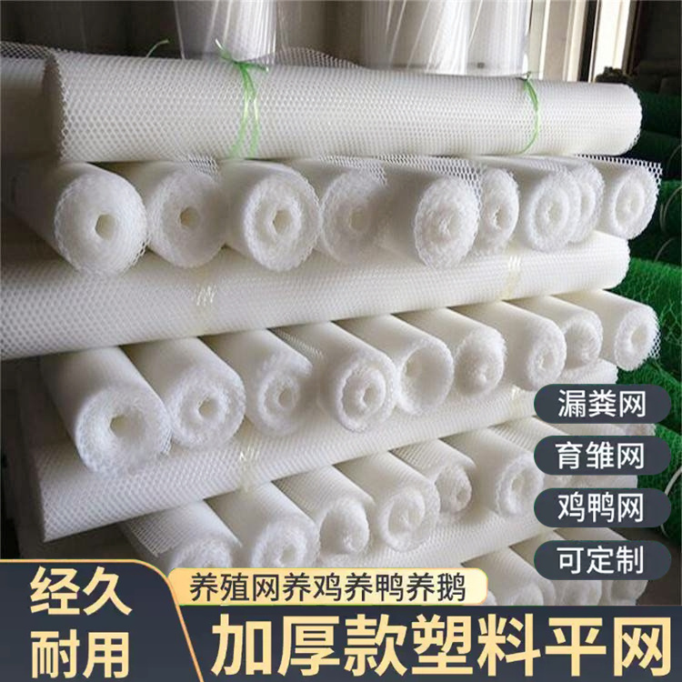 特信 可按需定制 塑料网片 养鸡笼子家用养殖专用网